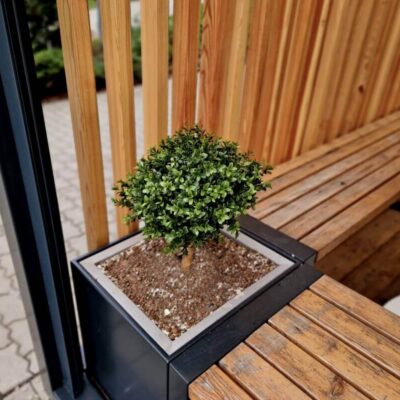 Bewegliche Holzlamellen für die Terrasse neben einem kleinen Baum im Pflanzkübel.