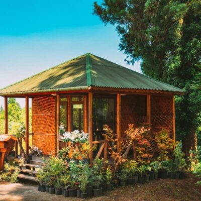 Ein kleines Gartenhaus aus Holz mit Holzlamellen, umgeben von üppiger Vegetation.