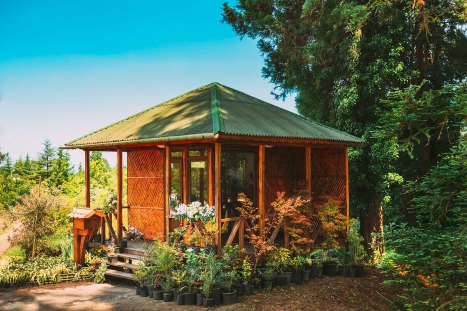 Ein kleines Gartenhaus aus Holz mit Holzlamellen, umgeben von üppiger Vegetation.